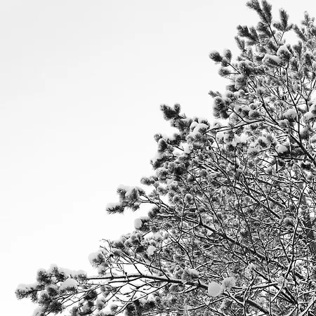 Nuuksio - Conferences And Events Отель