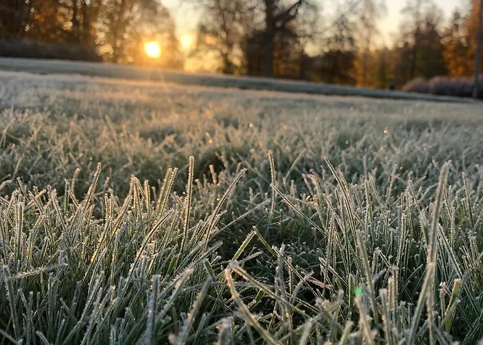 Nuuksio - Conferences And Events إسبو